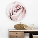 Tableau sur alu-Dibond 1X Studio - Rose Noble - Rond