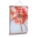 Poster - Narchuk - Exotique