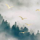 Tajemnicza mgła na leśnej fototapecie - SpaceFrog Designs
