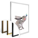 Plakat Blanz - Mały królik