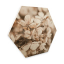 Hexagone - Bois Annie - Fleurs en velours