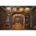 Fototapet - Aurednik - Library - 384x260 cm
