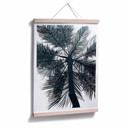 Plakat Kubistika - California Dreaming