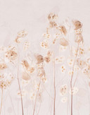 Fototapet blomster, blade blomstret natur, moderne i beige