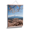 Plakat Colombo - Góra Fuji w Japonii