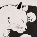 Fototapeta koty Ying & Yang - Tunaboylu