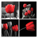 Canvasbillede, Røde tulipaner blomster