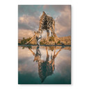 Fototapet Refleksion af en giraf i naturen - Amtmann – print på aluminium (Alu-Dibond)