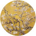 Fototapeta van Gogh - Kwiat migdałowca ochra - Okrągła - tapeta flizelinowa/tapeta flizelinowa samop