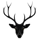 Sticker mural Ireland - Cerf noir