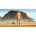 Vlies Fototapete - Star Wars Classic RMQ Droids - 500 x 250 cm