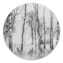 Tableau sur alu-Dibond Talen - Forêt de bouleaux noirs et blancs