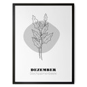 Personalisierbares Poster Monatsblume Dezember