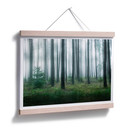 Plakat Lindsten - W lesie