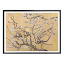 Plakat van Gogh - Krem z kwiatem migdałowca