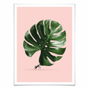 Plakat Loose - Monstera Ant