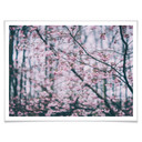 Plakat Pink Flower Dream 03