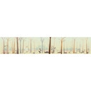 Papier peint photo Le petit extra-terrestre - Panorama - 48x260 cm