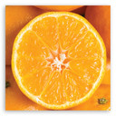 Canvasbillede, Frugt appelsin makro