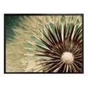 Plakat Dandelion Poetry