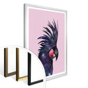 Plakat Loose - Galaxy Bird