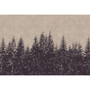 Livingwalls Fototapet Väggar av Patel svart skog 1