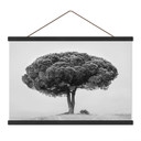 Stoffbild Baum in Schwarz Weiß - Martin