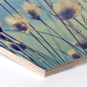 Hexagone - Placage bois de bouleau Delgado - Fleurs dans le vent 