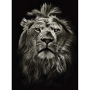 Papier peint photo Lion - 192x260 cm