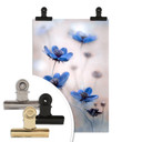 Poster Disher - Blue Cosmos