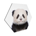 Hexagone - alu-Dibond Sisi & Seb - Baby Panda