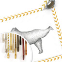 Plakat Kvilis - Yoga Bear 02