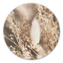 Tableau sur alu-Dibond Annie - Faisceau d'herbes - Rond