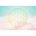 Architects Paper Papier peint photo Atelier 47 Flower of Life 