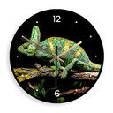 Wanduhr aus Glas - Chamäleon - Brown - Ø 30 cm