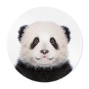 Plakat Sisi & Seb - Baby Panda - okrągły