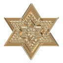 Muursticker Metallic Ster Goud