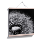 Poster - Dandelion