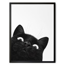 Poster Chat noir amusant - Korenkova