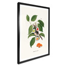 Luźny plakat - fabryka sushi