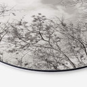 Tableau en alu-Dibond Cimes des arbes dans le ciel - Rond