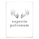 Plakat - Expecto Patronum