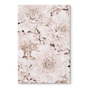 Akrylbillede 1X Studio - Aster Apricot