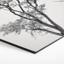 Hexagon Wandbild Minimalistischer Baum in ruhiger Landschaft - Flour - Alu-Dibond