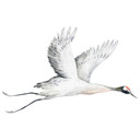 Wallsticker med flyvende trane - Kvilis