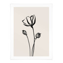 Plakat Line Art Poppy - Cats & Dotz