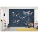 Vlies Fototapete - Star Wars Blueprint Dark - 400 x 280 cm