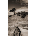 Papier peint photo Paysage à Hiddensee - 144x260 cm