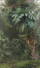 Tapet Fototapet junglemotiv grøn,Blomst 2,70 x 1,59 m