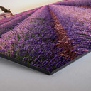 Hexagon Alu-Dibond - Lavendel